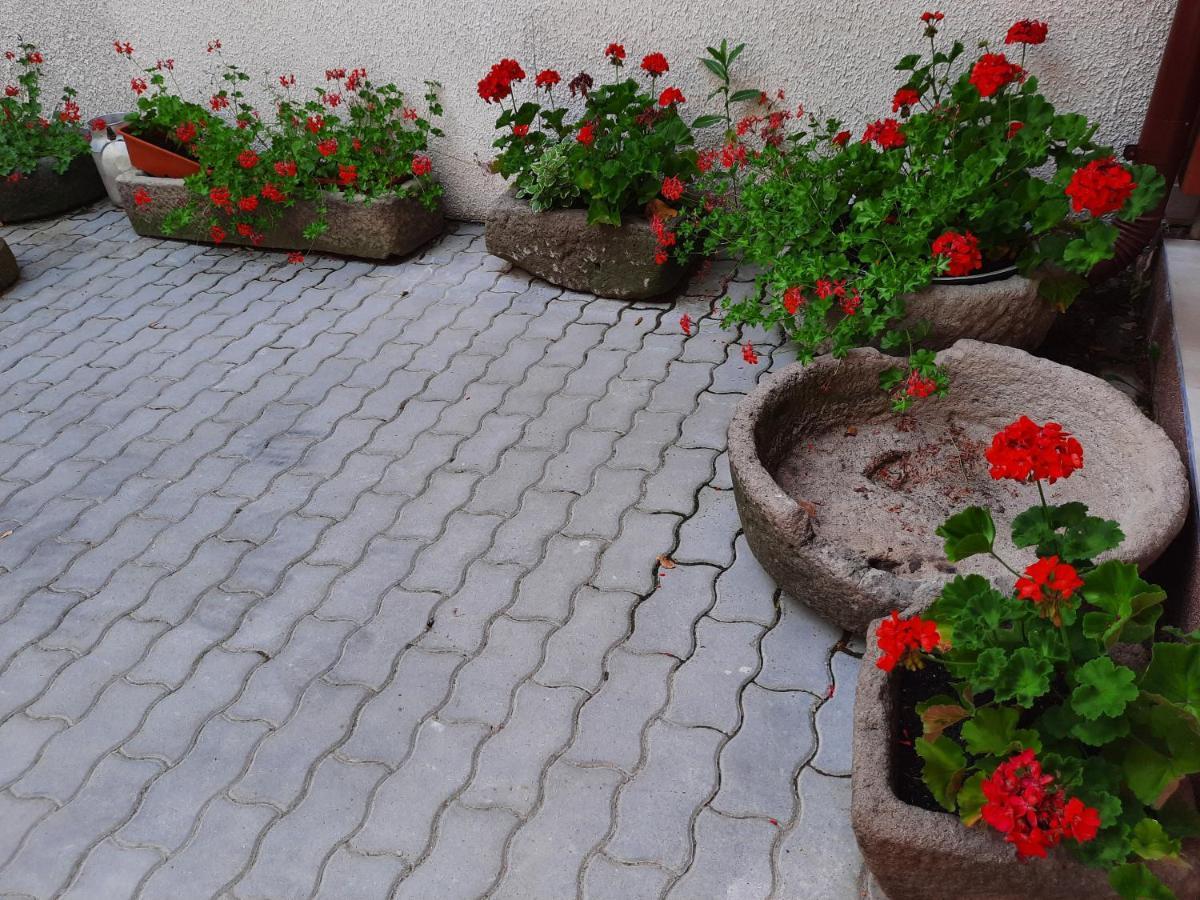 Bed and Breakfast Korona Panzió Odorheiu Secuiesc Exterior foto