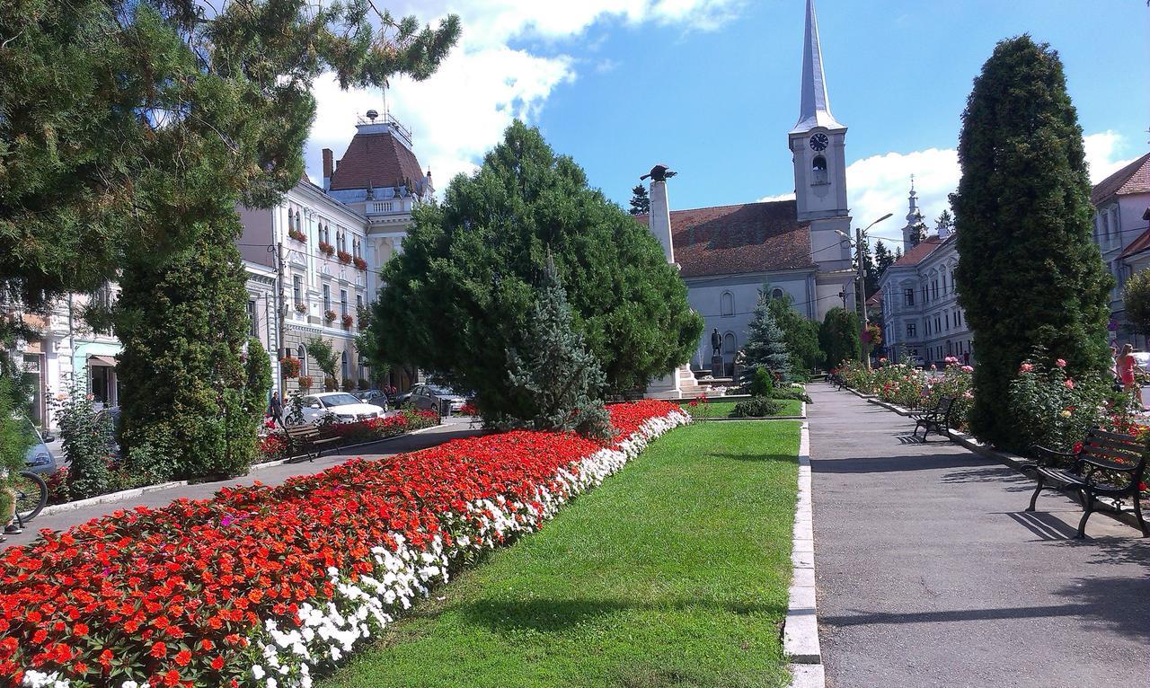 Bed and Breakfast Korona Panzió Odorheiu Secuiesc Exterior foto